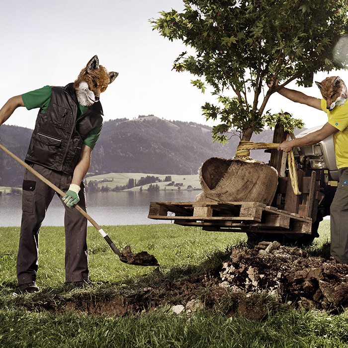 Horticulture & Agriculture